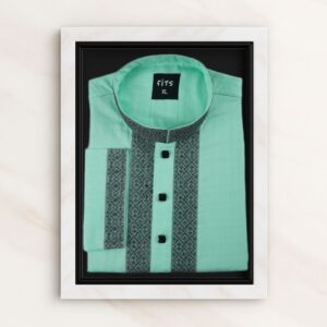 Light Pest Color Embroidered Panjabi