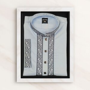 Light Blue Color Embroidered Panjabi